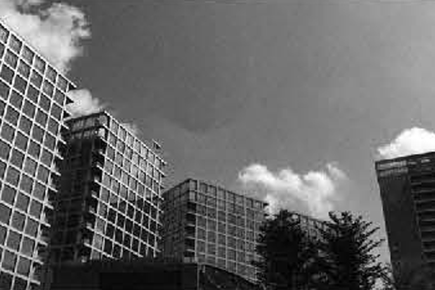 Portfolio Image